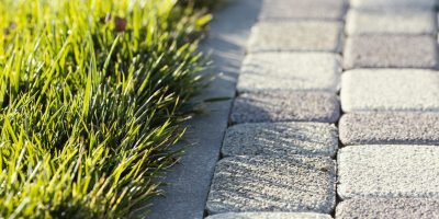 natural-grass-close-up